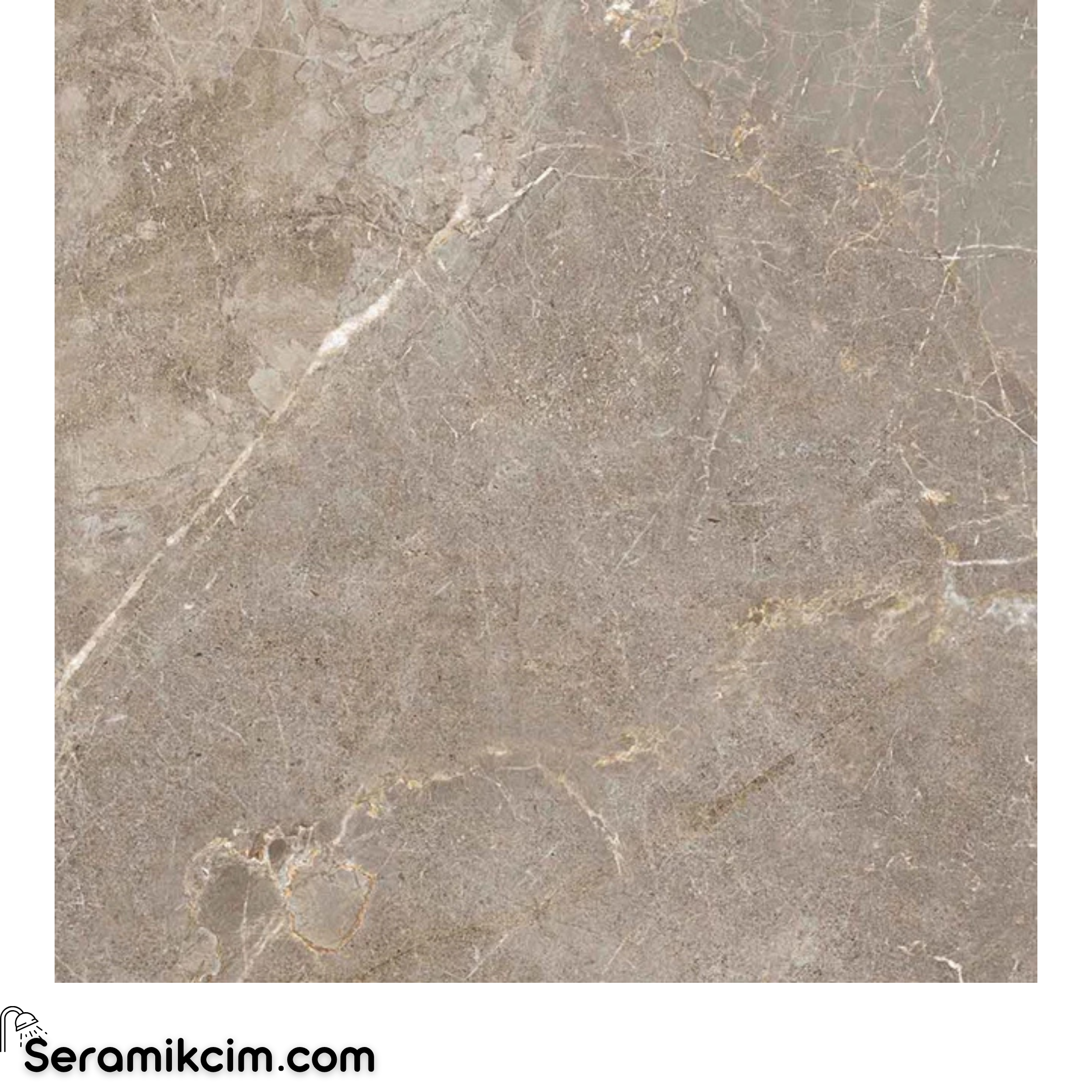 Çanakkale Seramik Gs-D8096 Salvia Mat Taupe 60X60