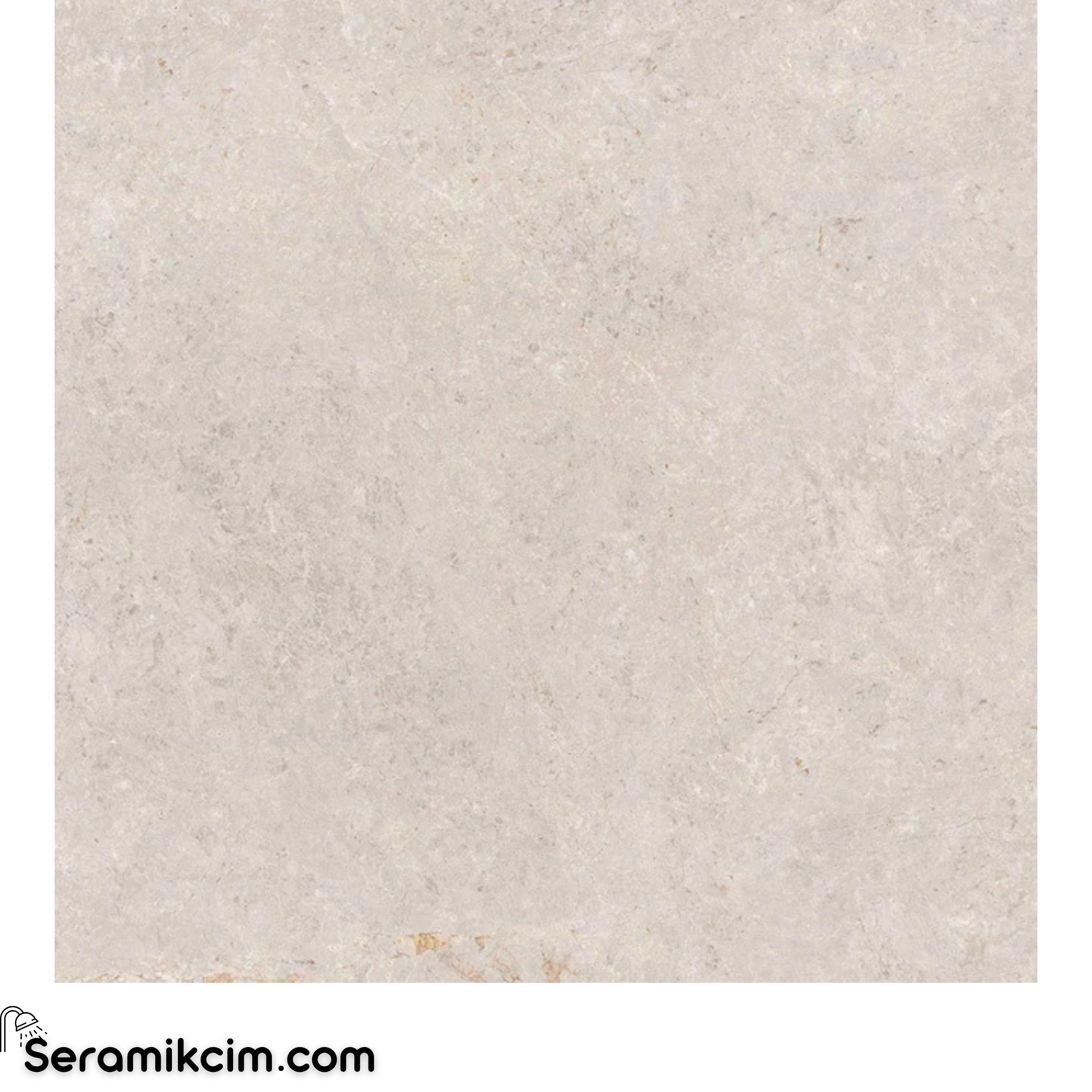 Çanakkale Seramik Gs-D8810R Capella Kemik 0.9 59X59 R