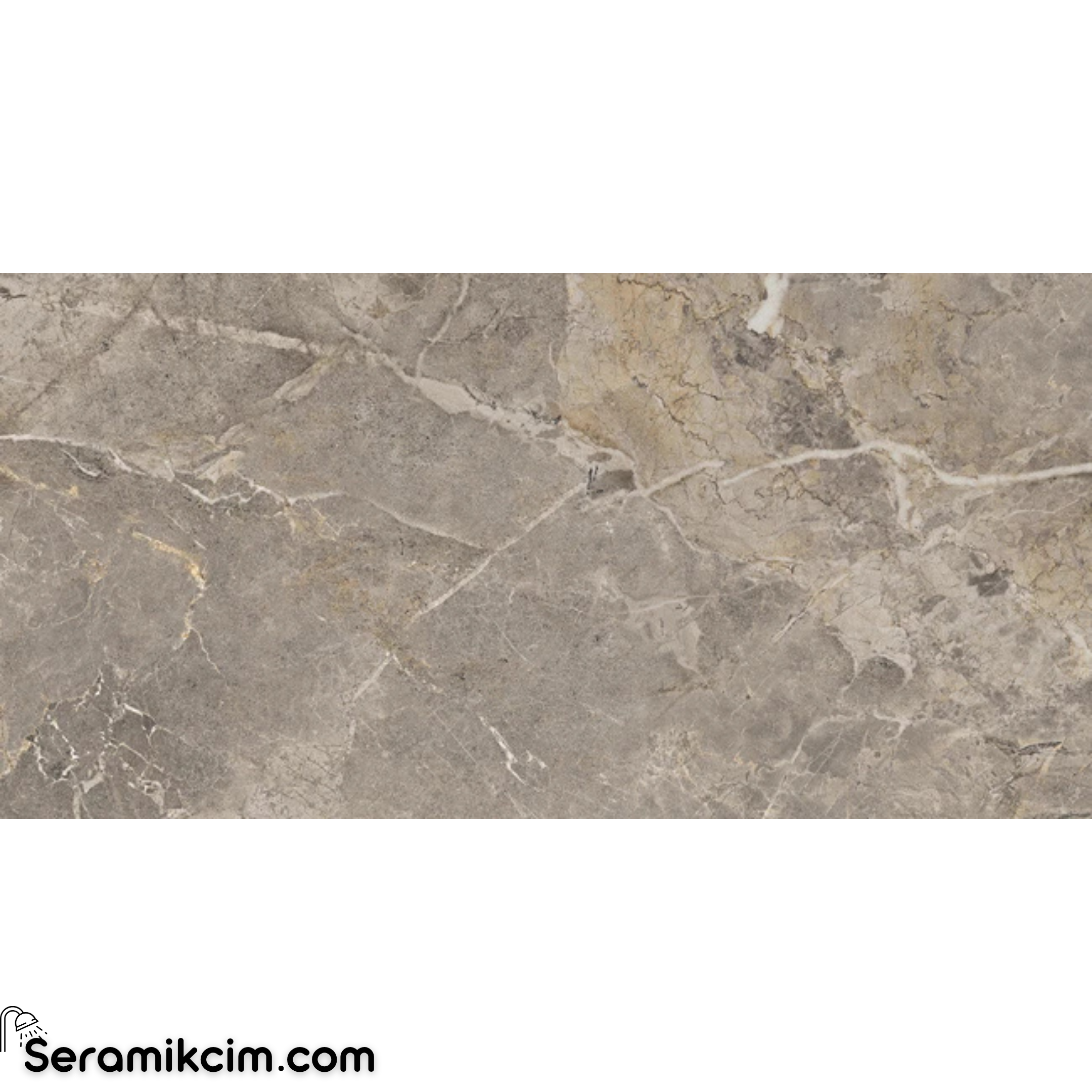 Çanakkale Seramik Lgmb-R1170 Fiori Di Bosco Yarı Parlak 60X120