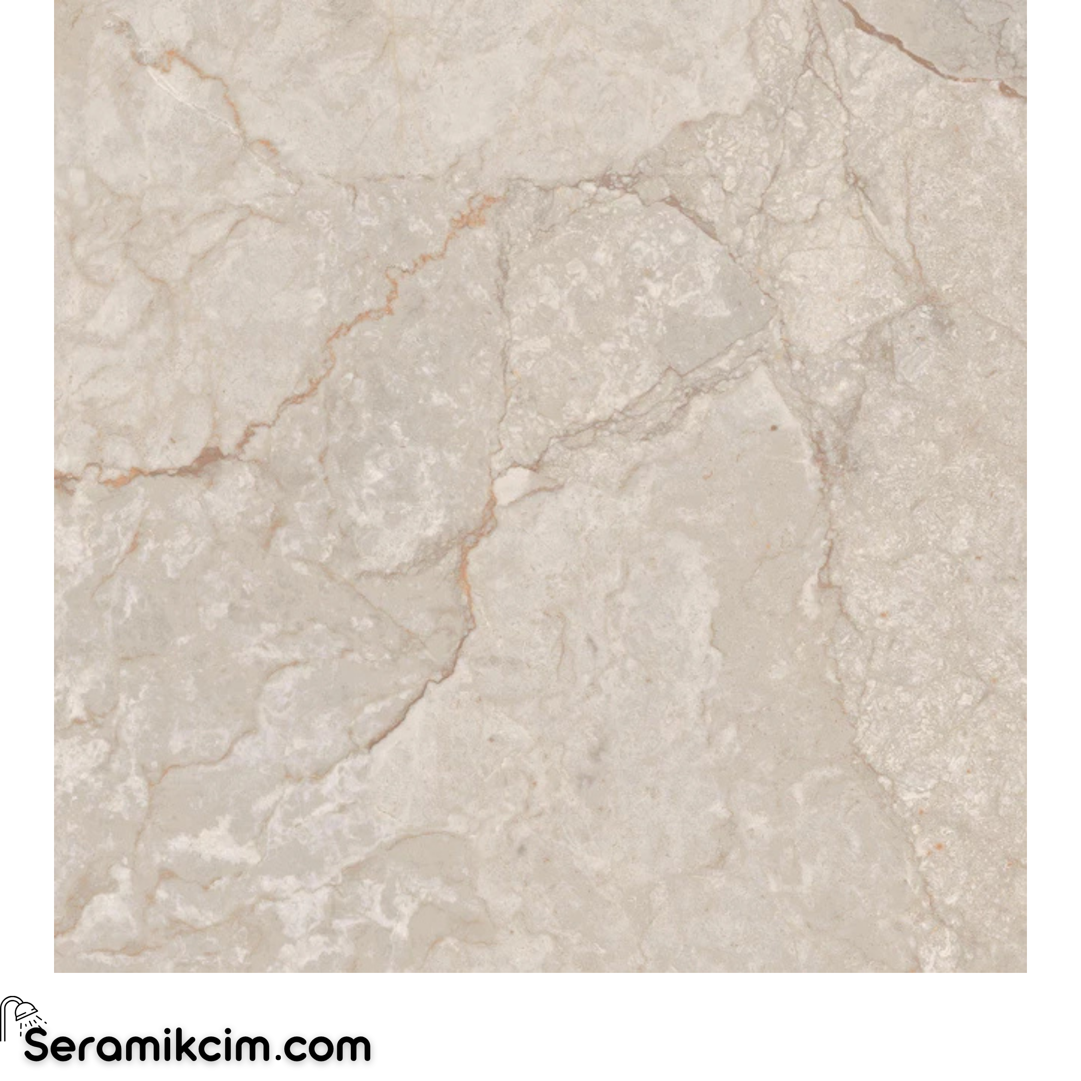 Çanakkale Seramik Mpb-U1479 Brenta Vizon Parlak 59X59 R