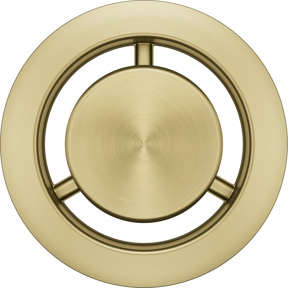 Franke Eviye Aksesuarı Yuvarlak Taşma Kiti (Gold) 133.0722.548