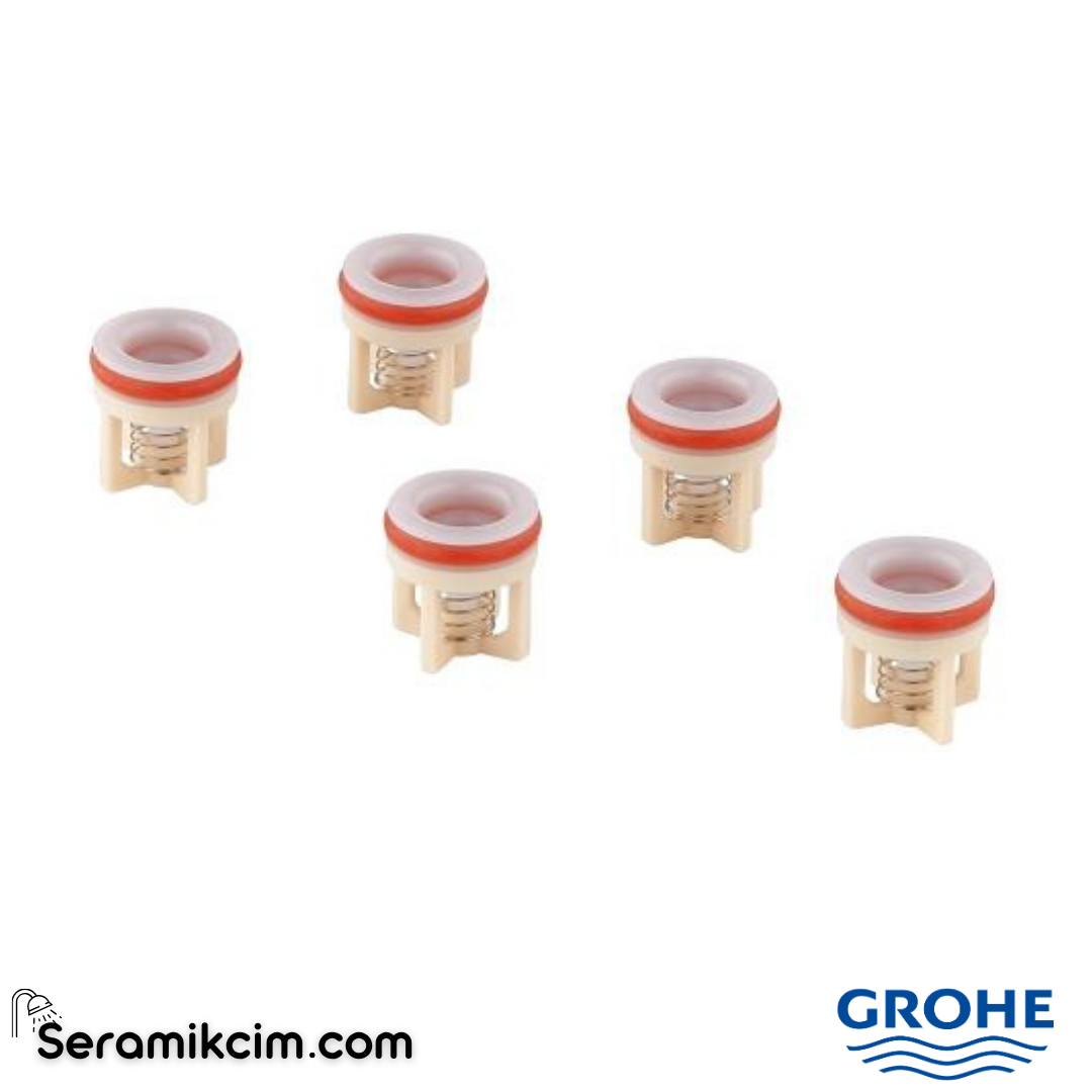 Grohe non-return valves 4240400M