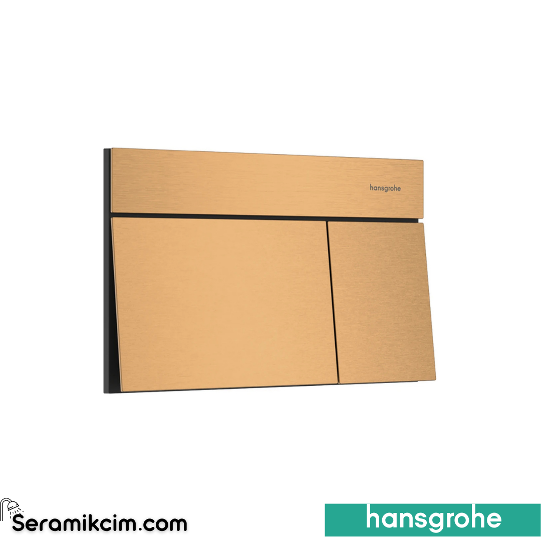 Hansgohe iFrame Element E Kumanda Kapağı Mat Bronz 66003140