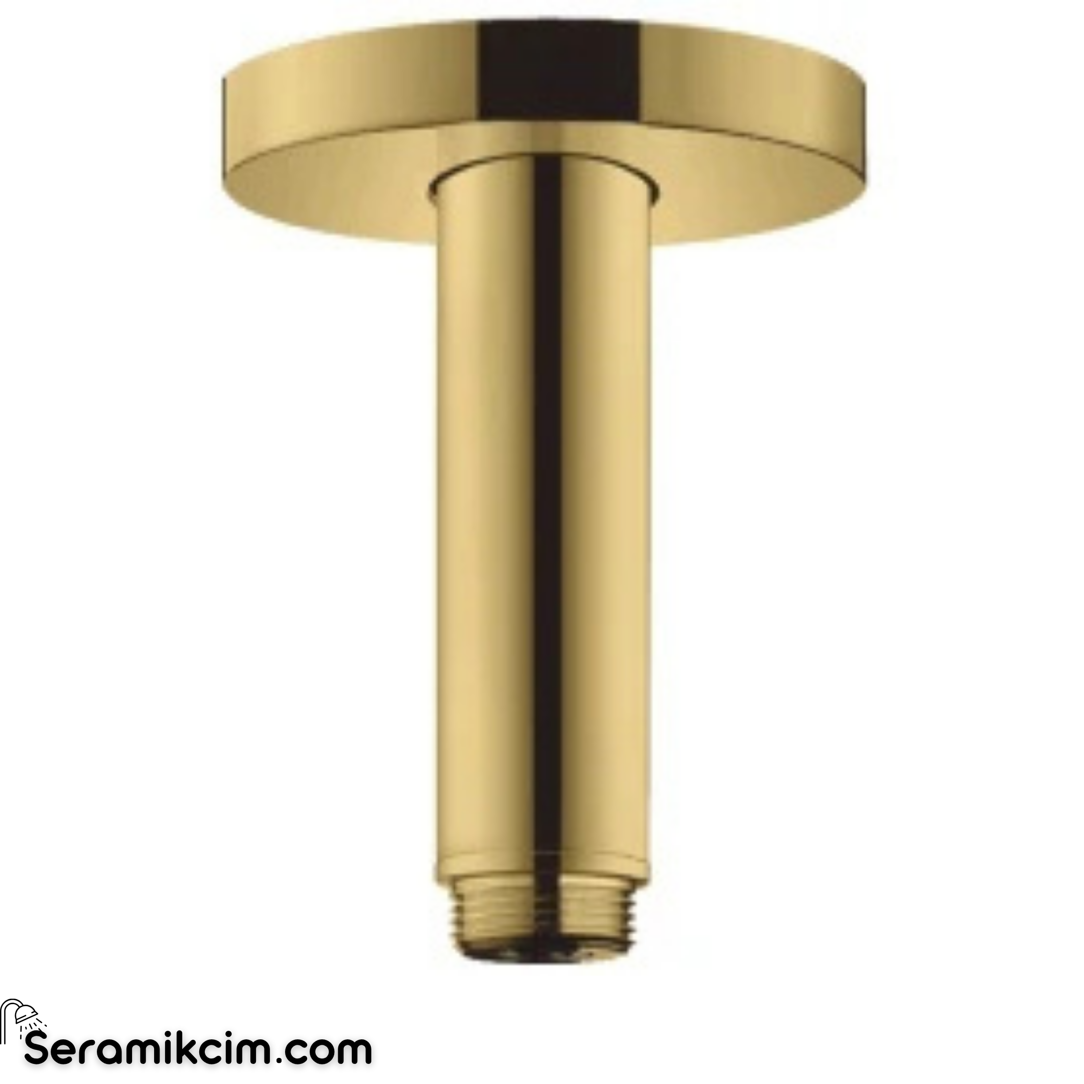 Hansgrohe S 100Mm Tavan Bağlantısı Parlak Altın 27393990