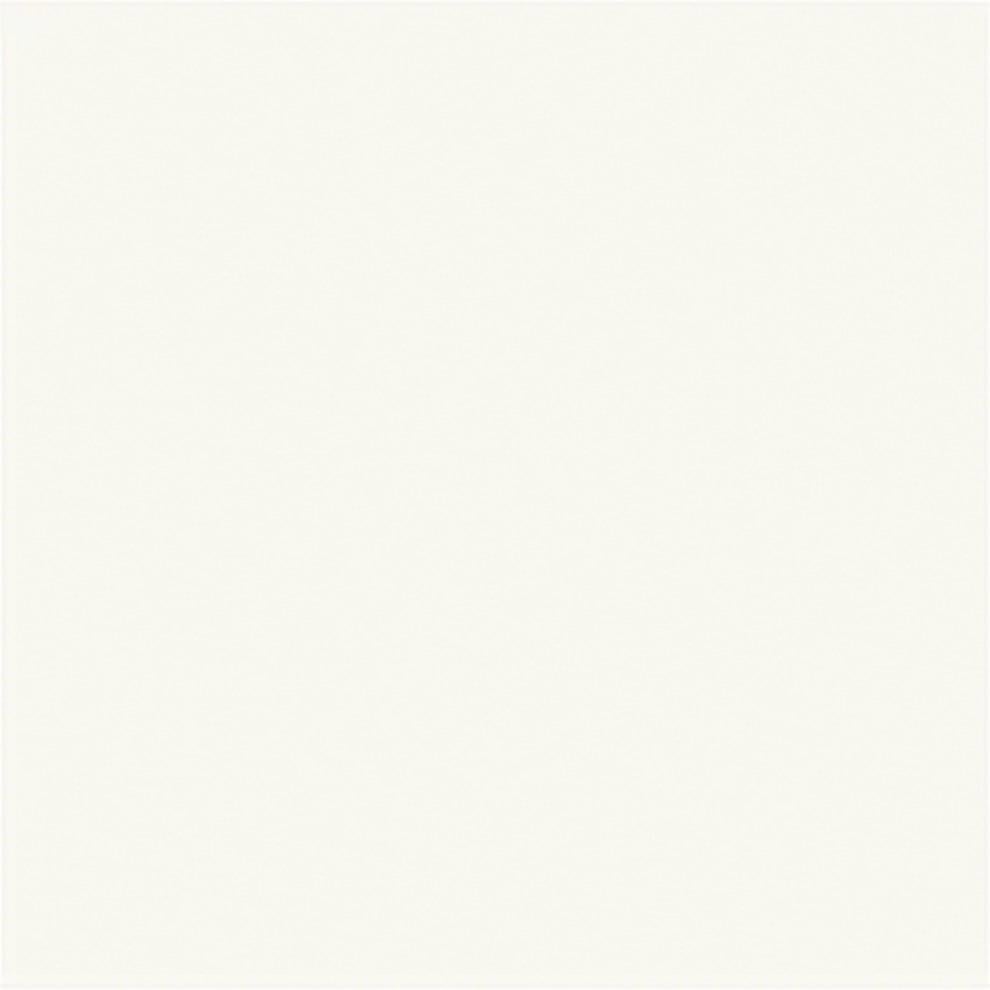 Vitra 20X20 Ral 0809005 Mat R10B Nr