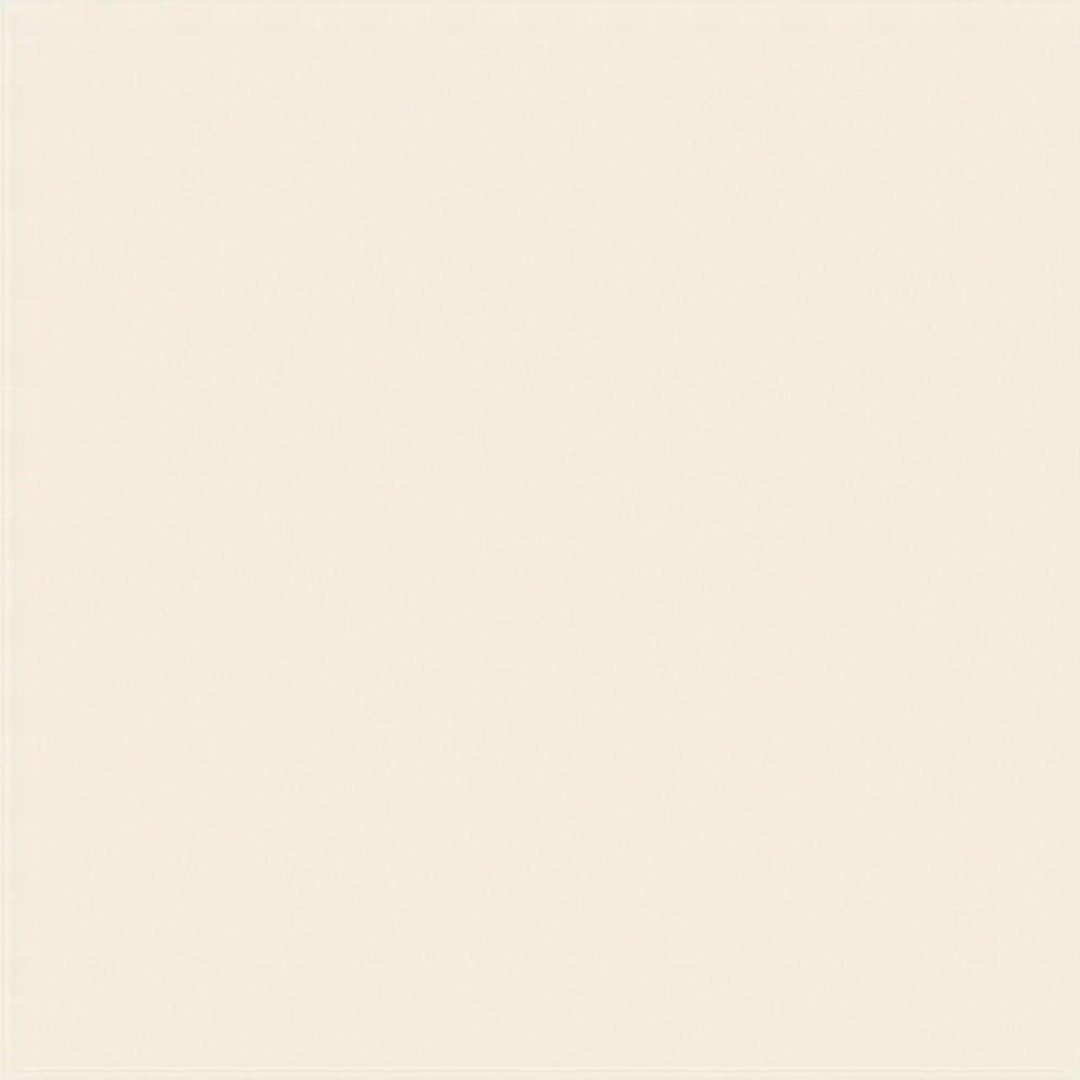 Vitra 20X20 Ral 0809010 Mat R10B Nr