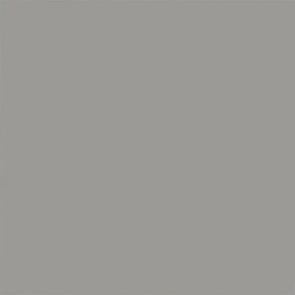 Vitra 20X20 Uni Gri Mat R10A Nr