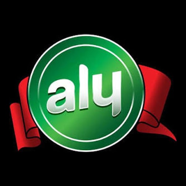 Aly Food Gıda logosu