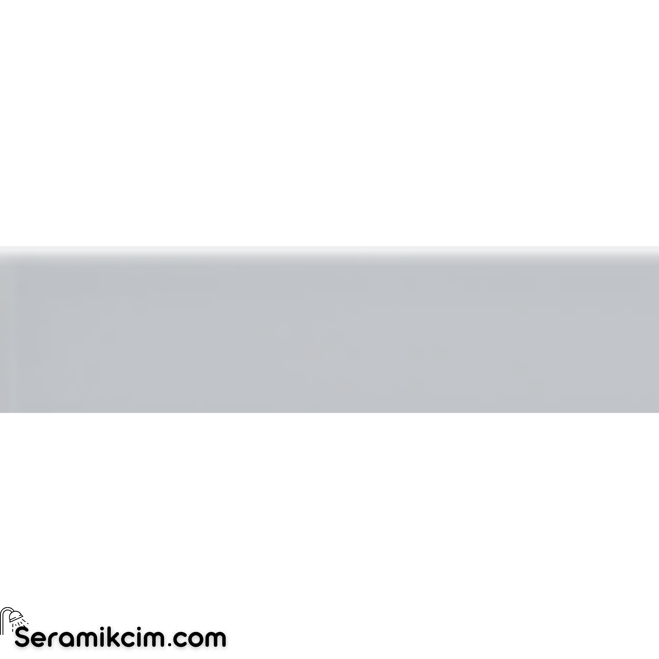 Arch Seramik 5X20 Silver Grey Flat Matt