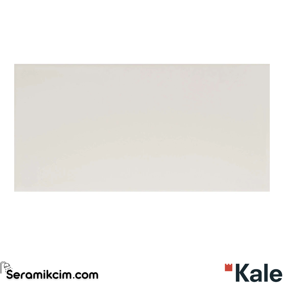 Çanakkale Seramik Fon-3142 Tiny Vivid Beyaz Düz 10X20