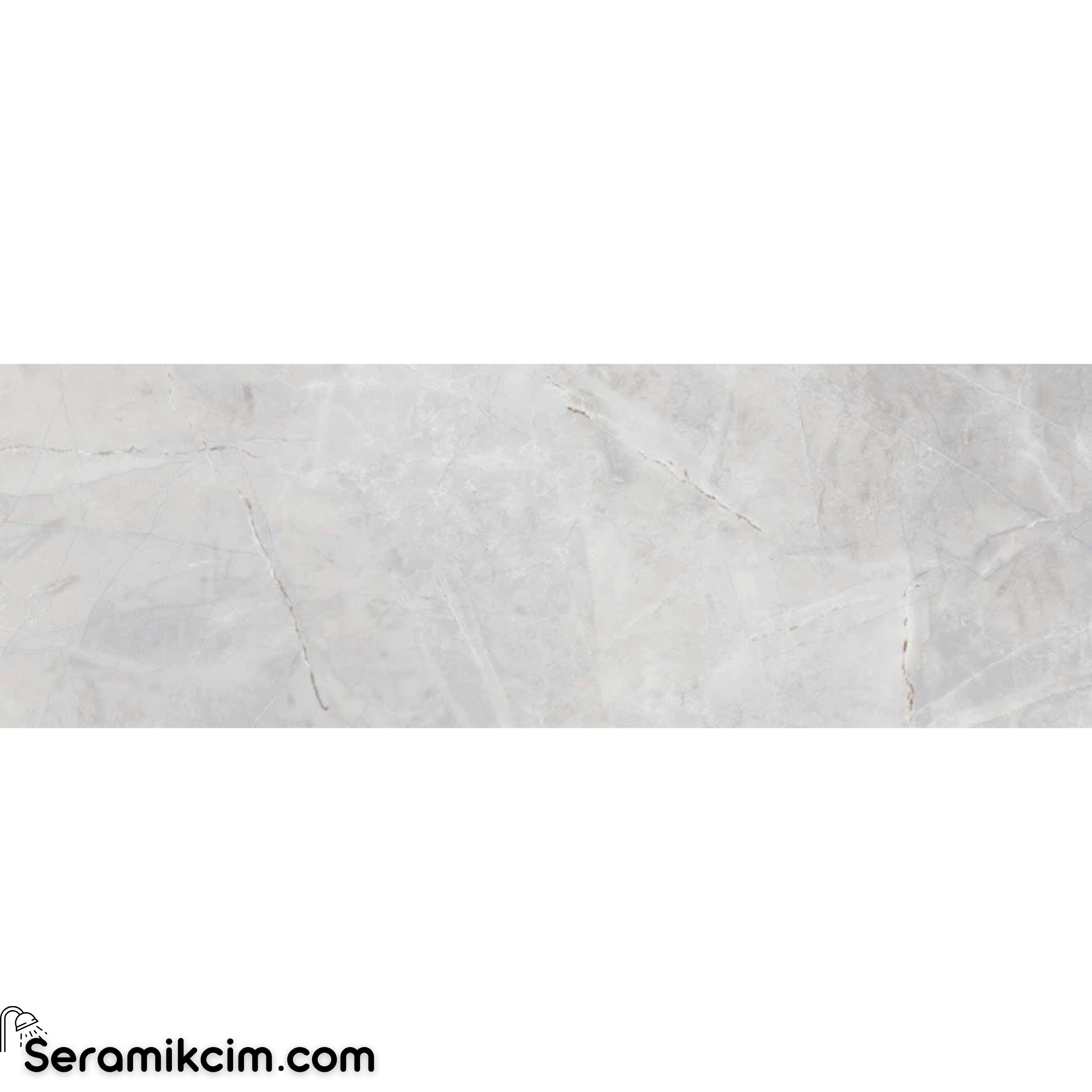 Çanakkale Seramik Fon-6062R Asteya Gri 40X120 R