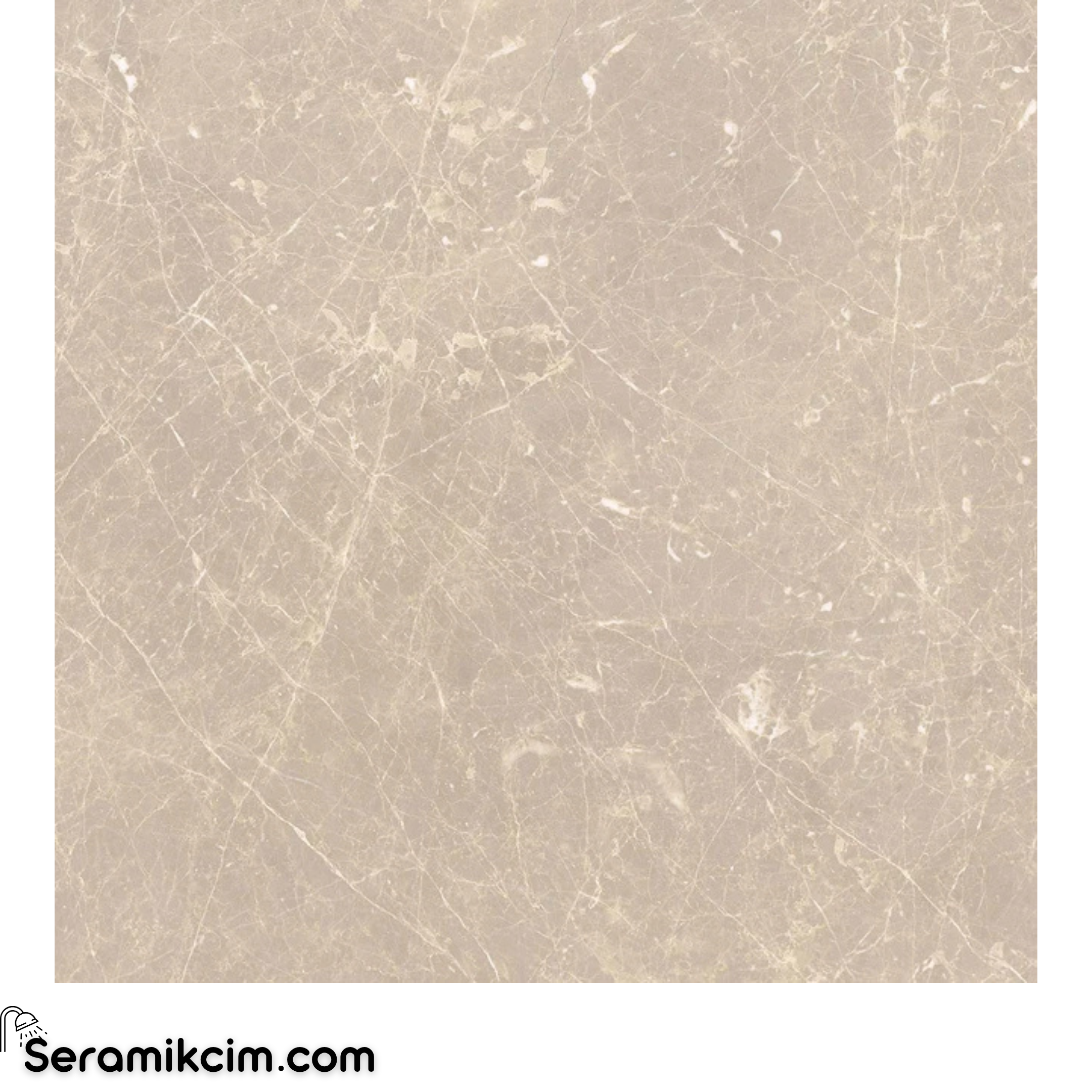 Çanakkale Seramik Gs-D8726R Adore Vizon 59X59 R