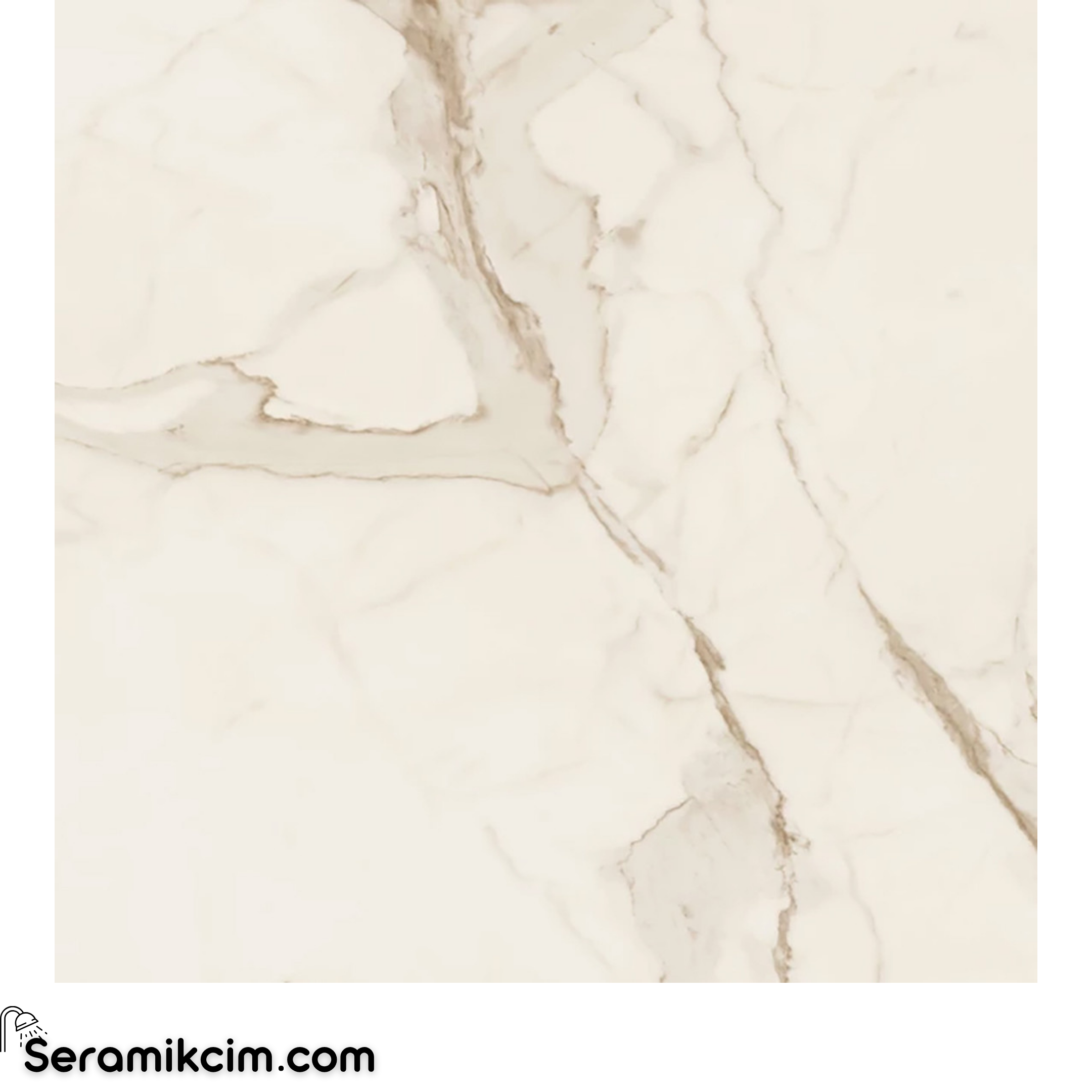 Çanakkale Seramik Gs-D8730R Calacatta Gold 59X59 R