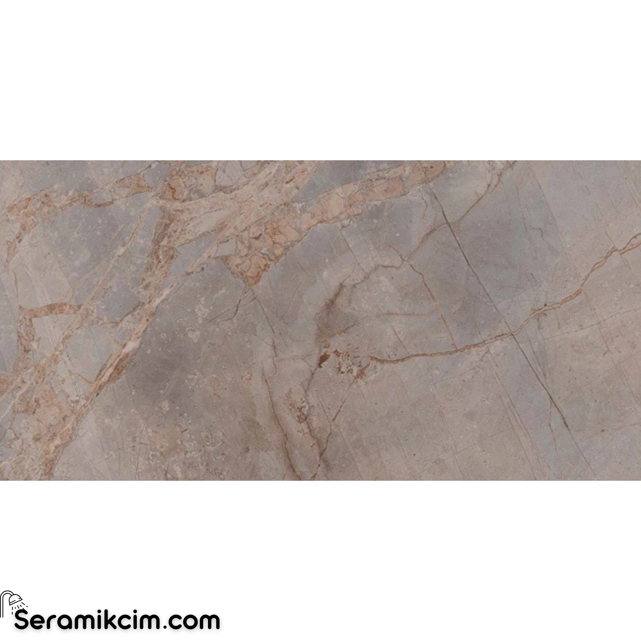 Çanakkale Seramik Mpb-R331 Vivaldi Vizon Parlak 60X120