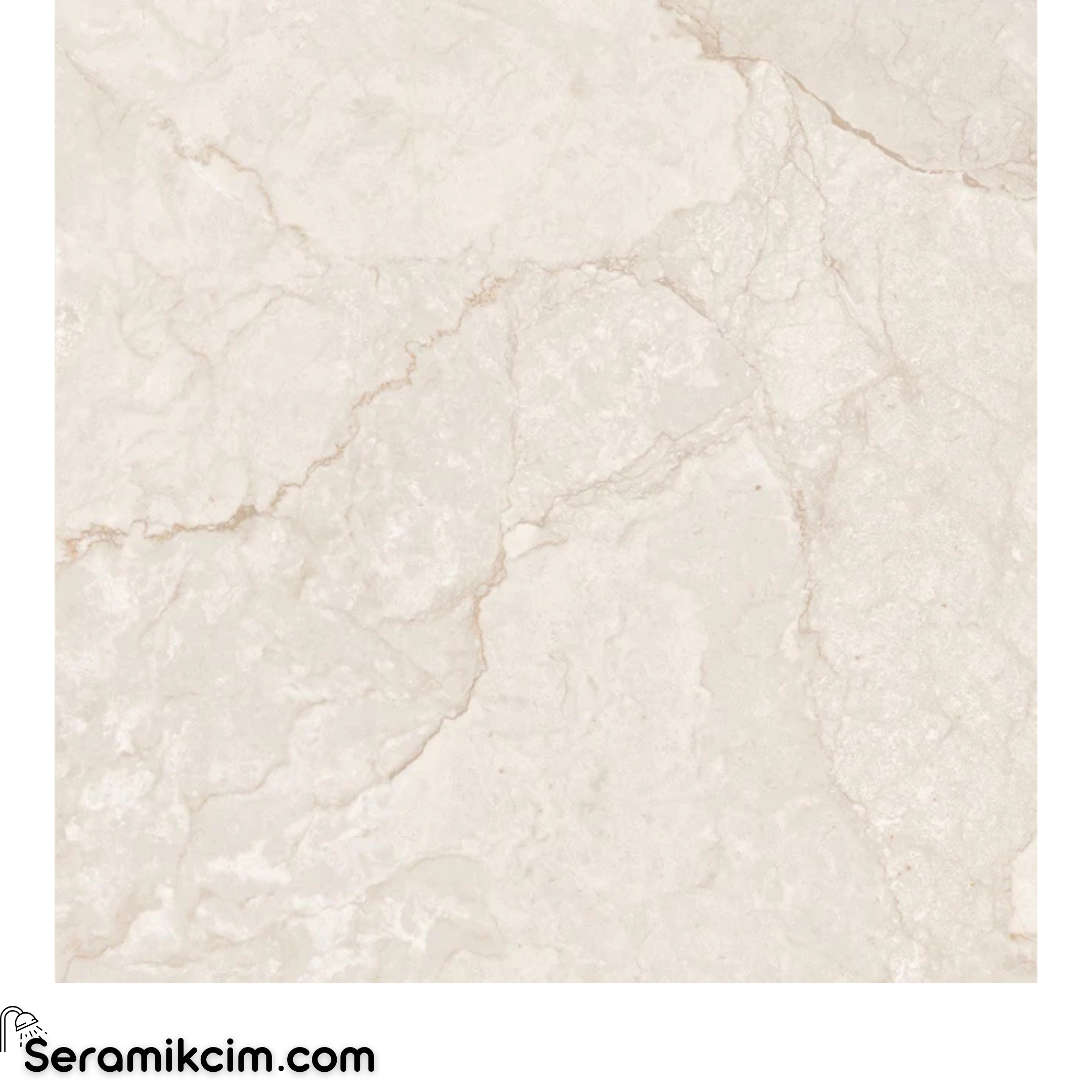 Çanakkale Seramik Mpb-U1330 Brenta Krem Parlak 59X59 R