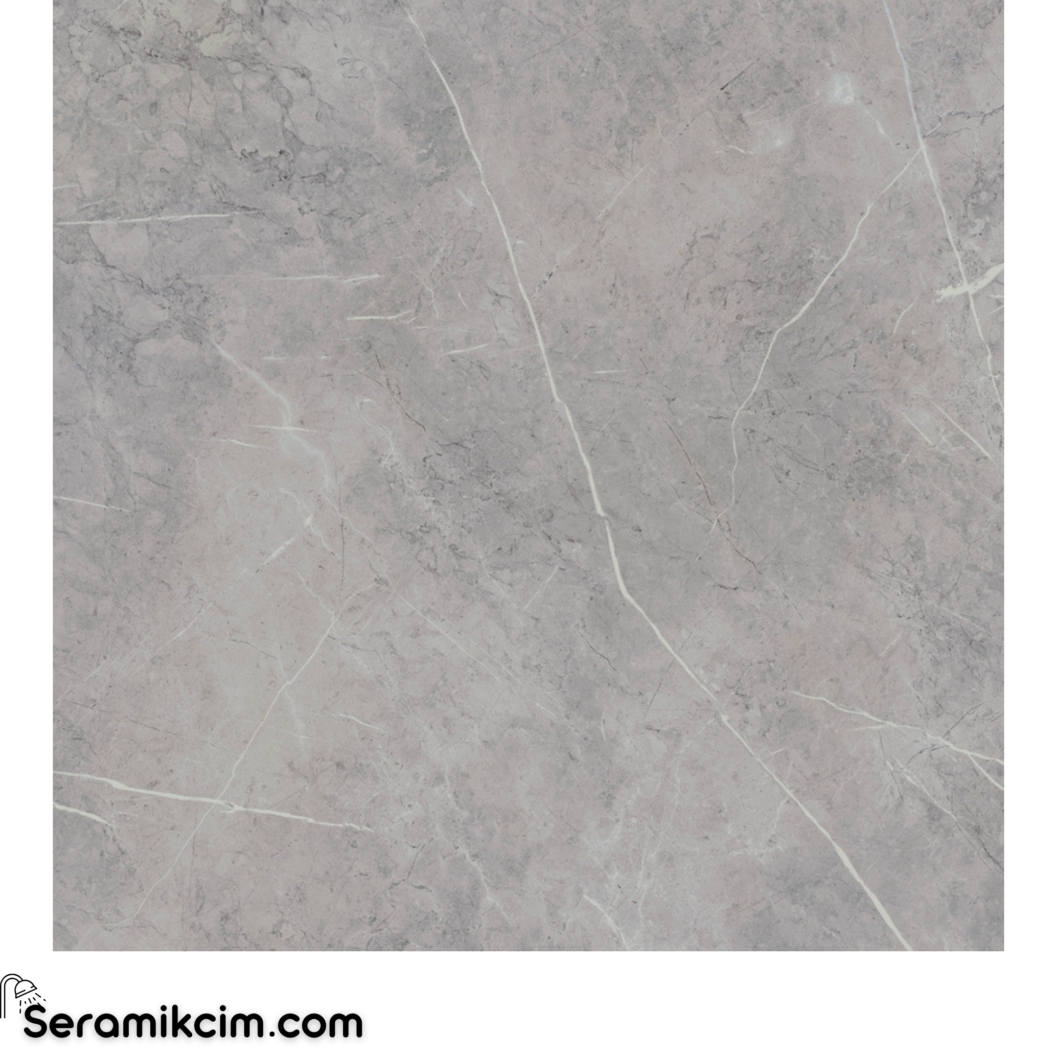 Kütahya Seramik 60x60 Alesta Silver Rektifiye Parlak Nano 1. Kalite