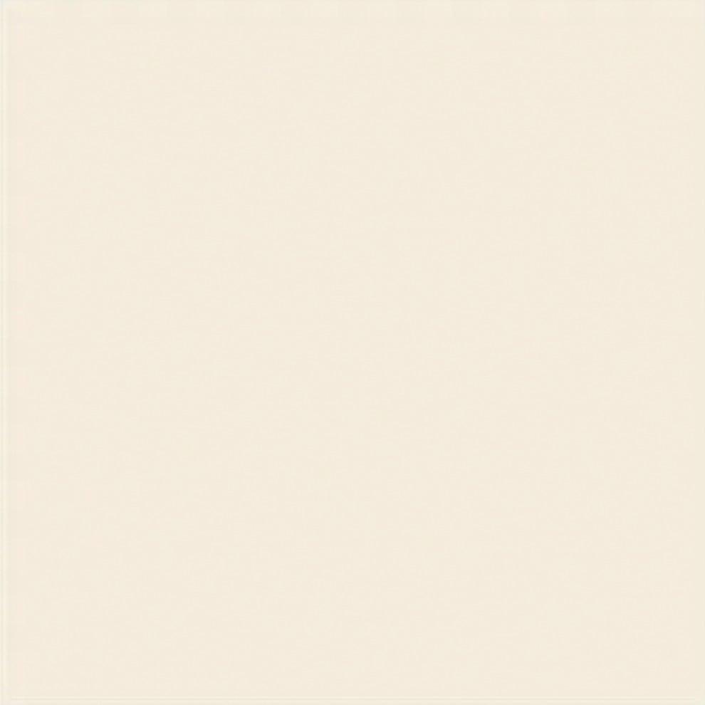 Vitra 20X20 Ral 0809010 Mat R10B Nr