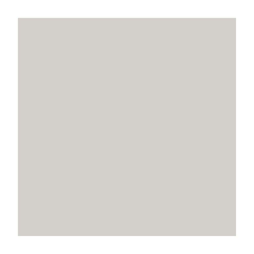 Vitra 30X30 Ral 0007500 Mat R10B Nr