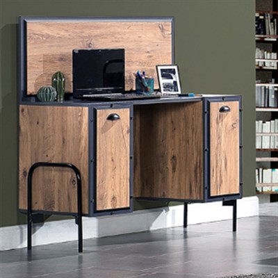 Vize Kanton Çalışma Masası