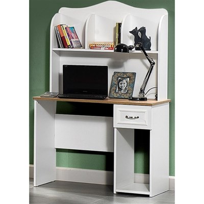 Vize Beyza Çalışma Masası