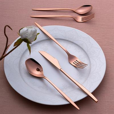 Emsan Çkb Alısa 30 Parça Bronz Kutulu