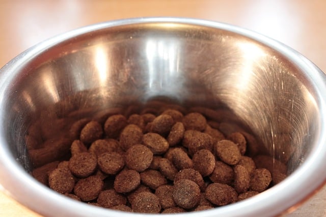 10 kg Kedi Maması Bozulur Mu?