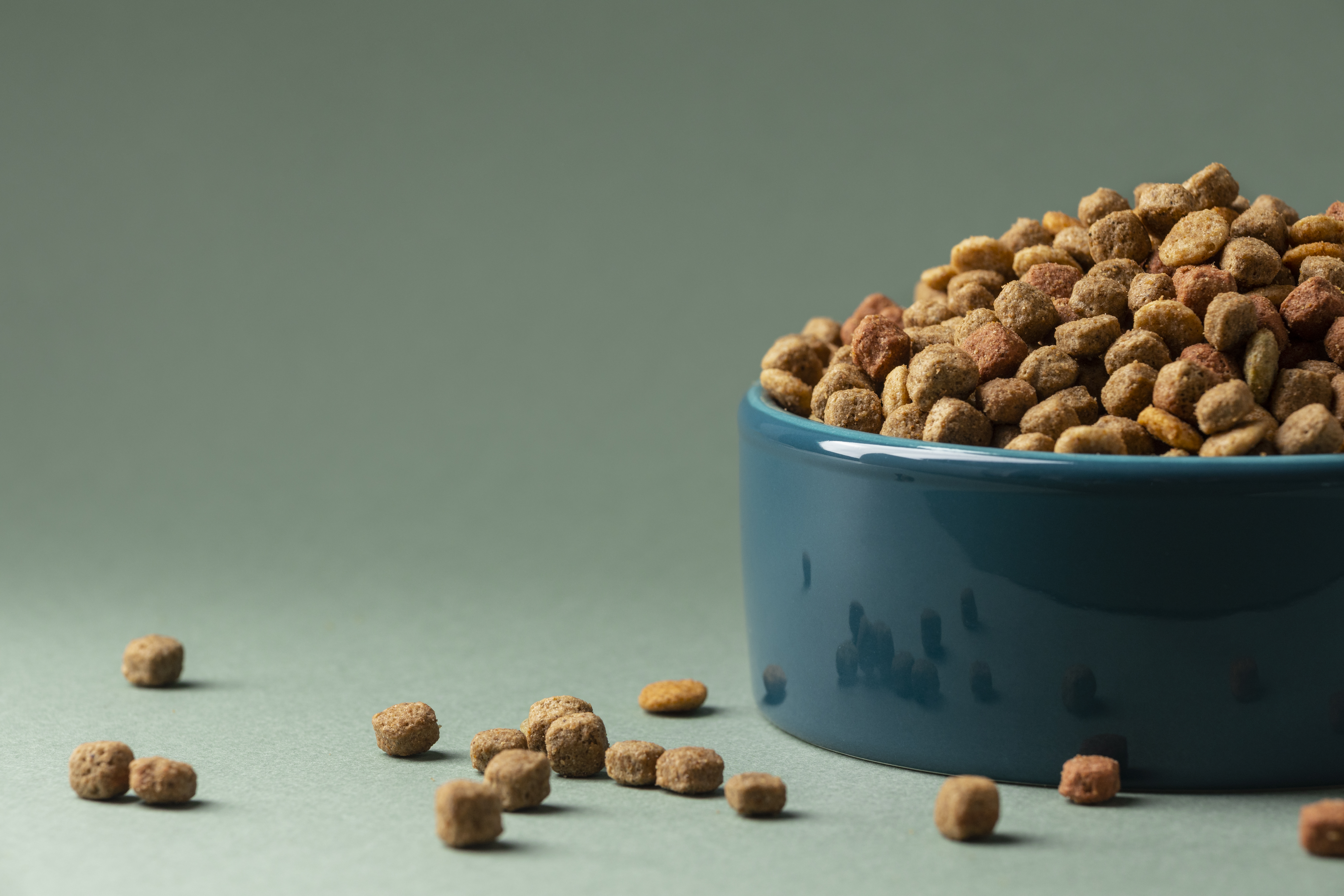 N&D Kedi Maması 10 Kg: Besleyici ve Ekonomik Seçim
