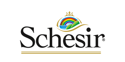 Schesir