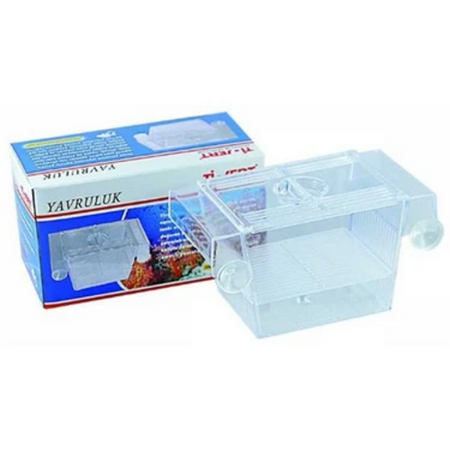 Ans Tekli Balık Yavruluk