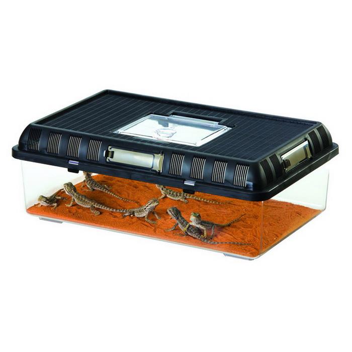 ExoTerra Sürüngen Besleme Kutusu Large