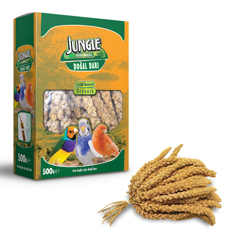 Jungle Doğal Darı 500 Gr