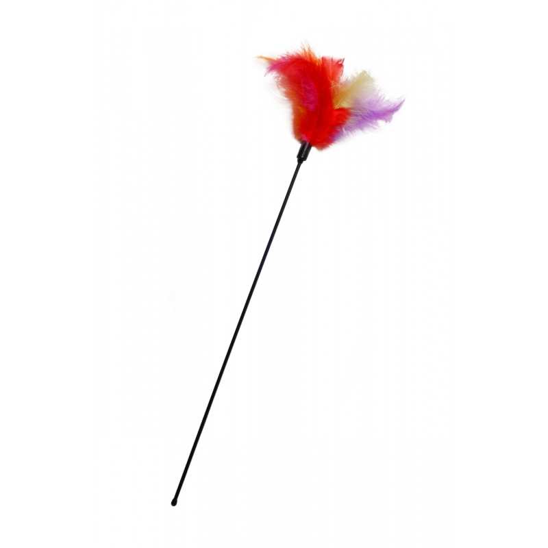 Karlıe Kedi Oltası 45 Cm