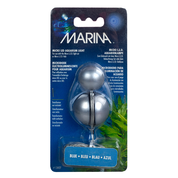 Marina Fanus Işığı Mavi