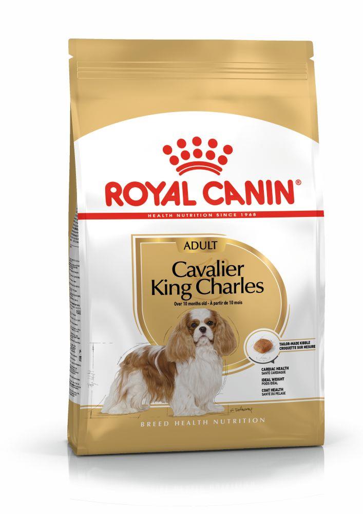 Royal Canin Cavalier King Charles Adult Yetişkin Köpek Maması 1.5 Kg