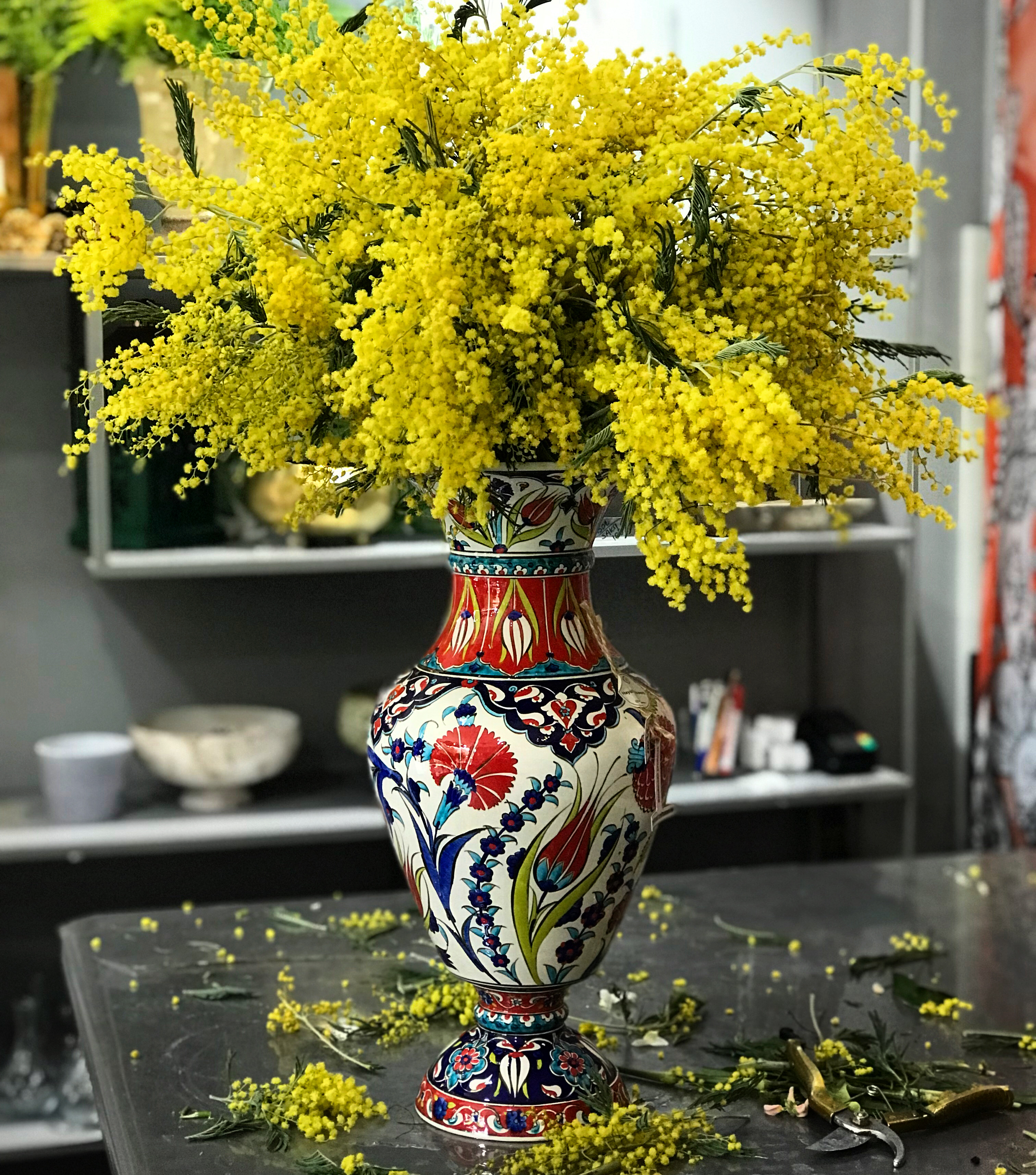 mimoza