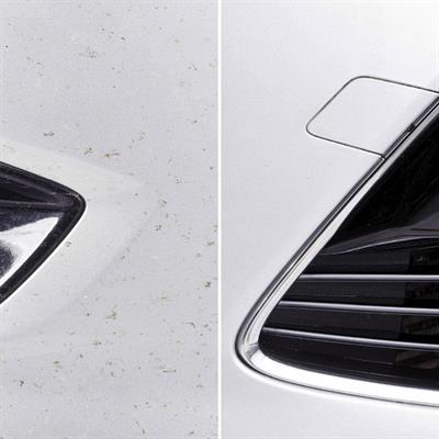 Sonax Böcek Temizleyici 500 ml