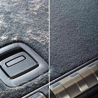 Sonax Evcil Hayvan Tüy Fırçası