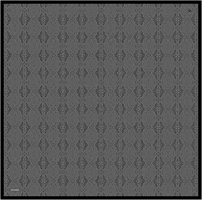 Armine  Saf İpek Twill Eşarp 9522D 81