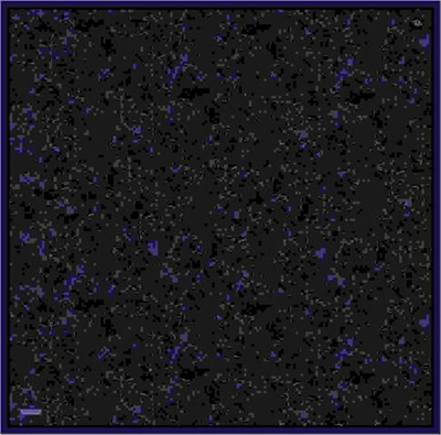 Armine Çiçek Desenli Saf İpek Twill Eşarp 9311 10
