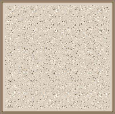 Armine İpek Eşarp 2023/24 İlkbahar Yaz Sezonu 8900D02 50 - Twill (Tivil) İpek