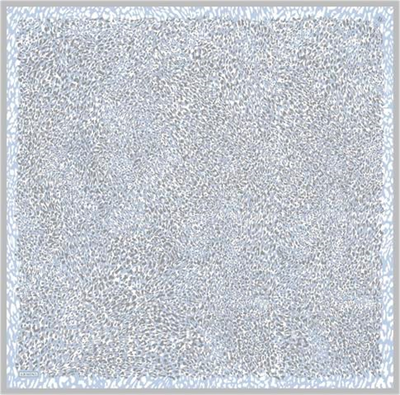 Armine Leopar Desenli Saf İpek Sura Eşarp 9352D 04
