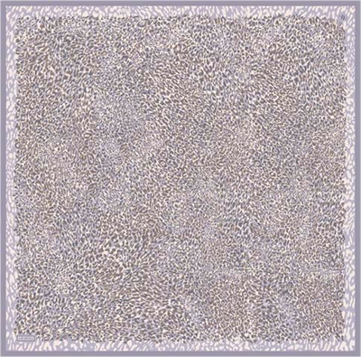 Armine Leopar Desenli Saf İpek Twill Eşarp 9352D 06