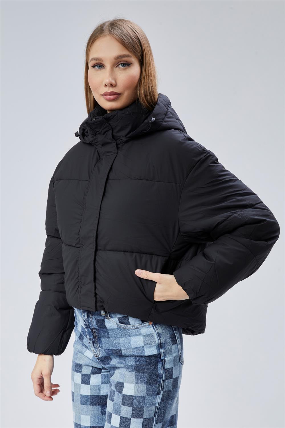 Puffer Mont · 3
