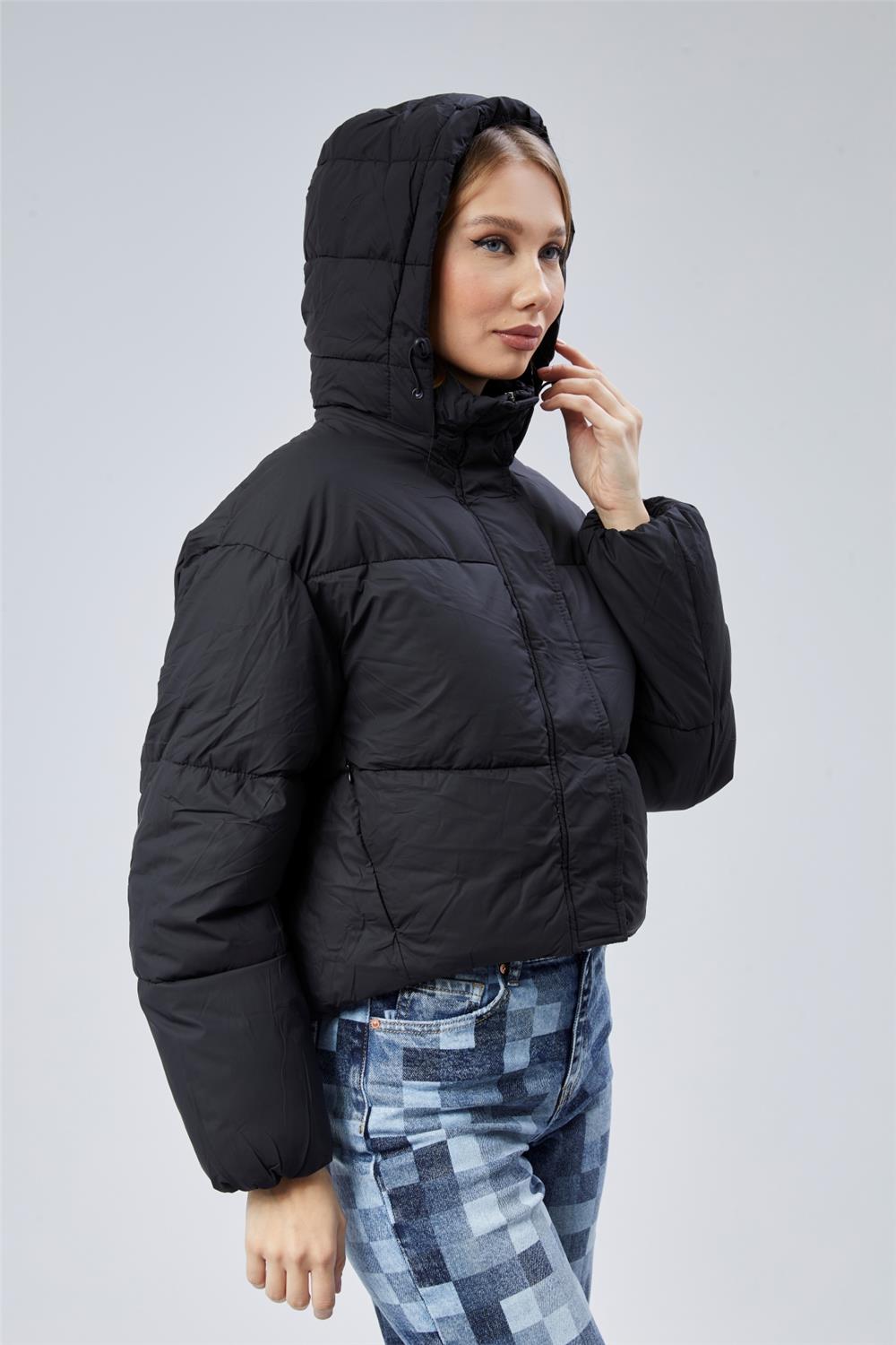 Puffer Mont · 2