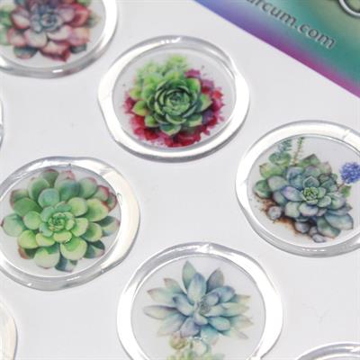 Mühürcüm 12 Adet Hazır Kendinden Yapışkanlı Sukulent Bitki Sticker Mühür KYSM109