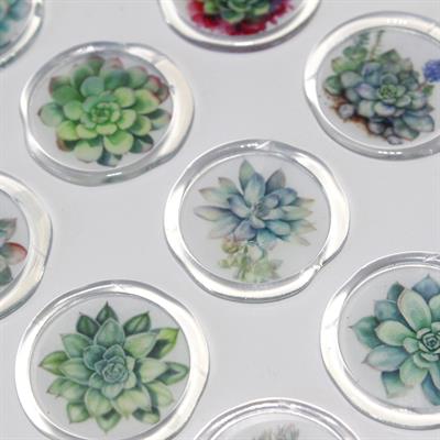 Mühürcüm 12 Adet Hazır Kendinden Yapışkanlı Sukulent Bitki Sticker Mühür KYSM109