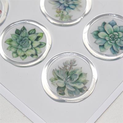 Mühürcüm 12 Adet Hazır Kendinden Yapışkanlı Sukulent Bitki Sticker Mühür KYSM109
