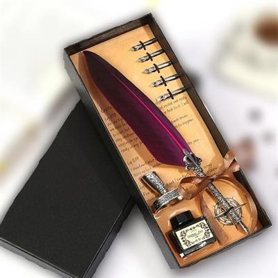 Tüy Divit Antik Kaligrafi Kalem Mürekkep Seti ve 5 Farklı Uç 27 cm