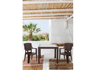 Flora Kollu Plastik Sandalye Rattan Sırt Örgü Desenli Kahve