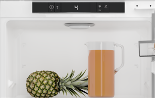 PBZL 1309 Leisure Tam Ankastre Soğutucu Net 309Lt.